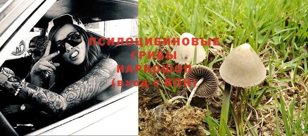 тгк Магас
