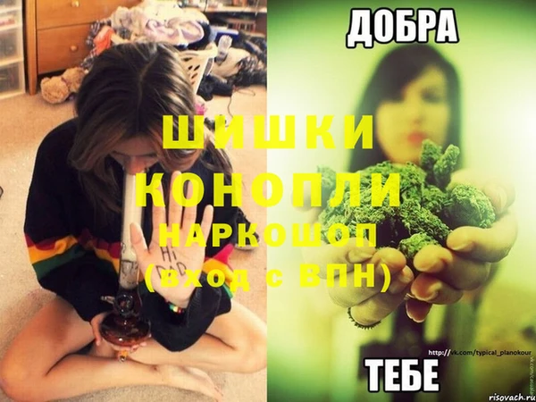 тгк Магас