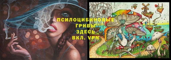 apvp Мегион