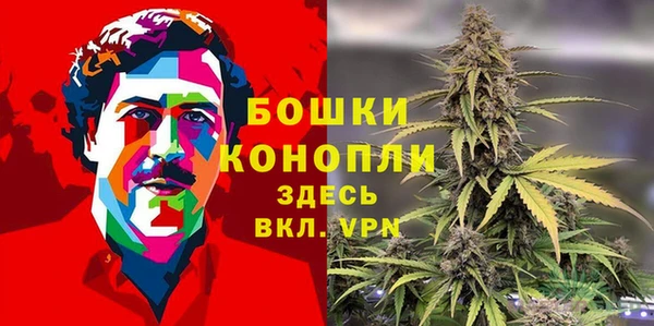 apvp Мегион