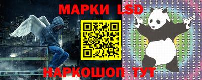 Альфа ПВП Кингисепп