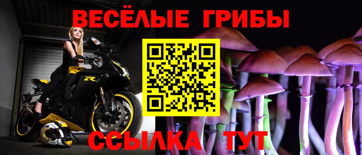 Псилоцибиновые грибы Magic Shrooms  Псилоцибиновые грибы ЛСД  Мыски  Вход с VPN 