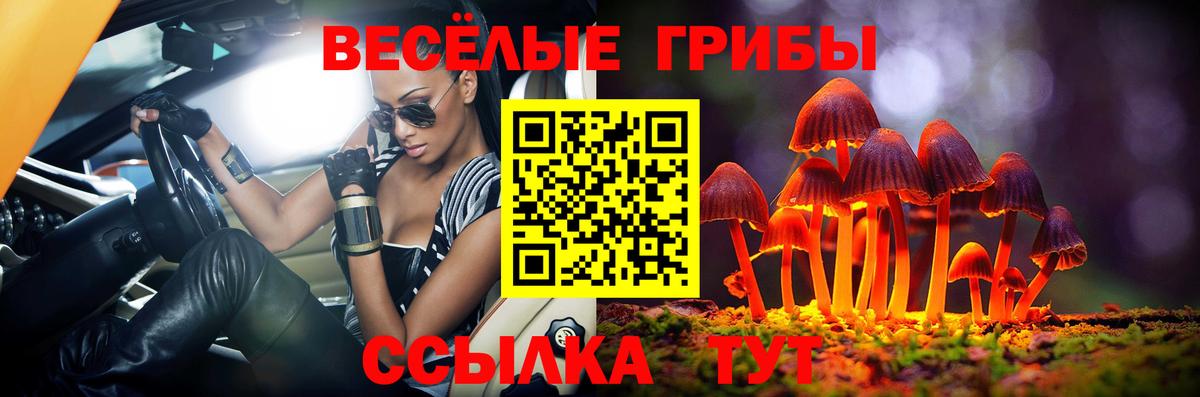 МЕФ Мыски