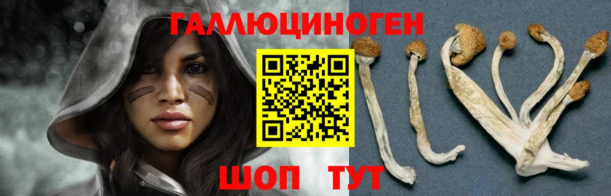 Псилоцибиновые грибы MAGIC MUSHROOMS Мыски