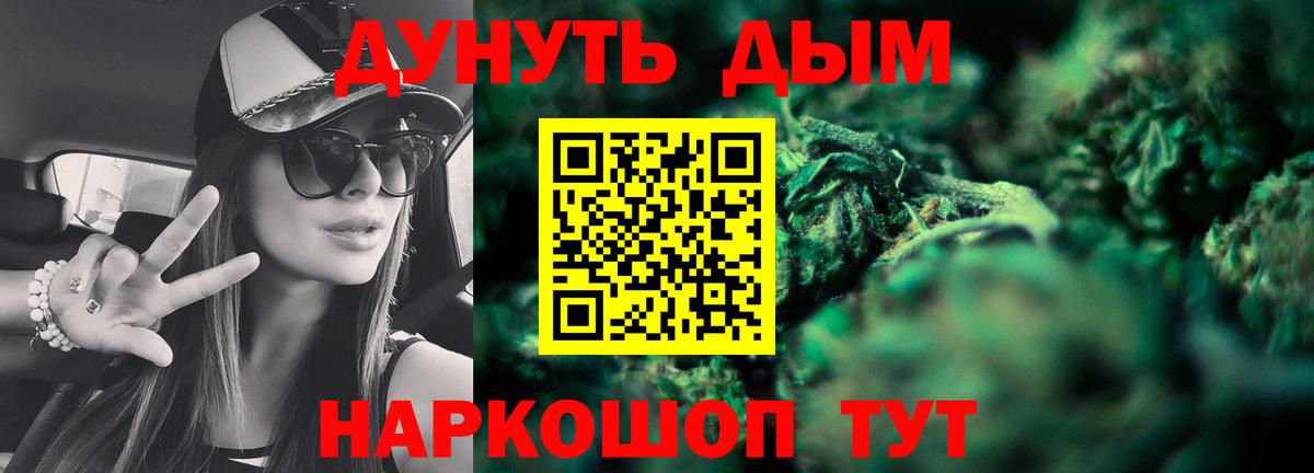 Каннабис сатива  Конопля планчик  Каннабис план  Вход с VPN  Мыски 